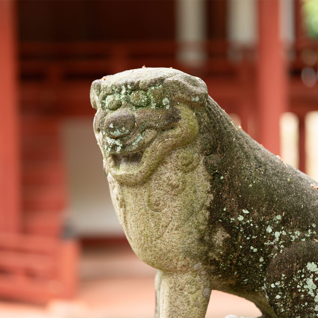 8df508210e4ccc07b4e2f418c22385