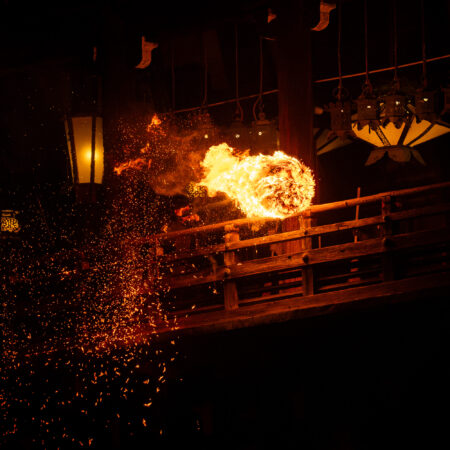 3/5(木)座学×現地で読み解く!「お水取り」特別解説ツアー