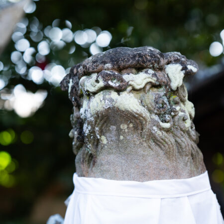 2/7(土)“日本一”と称された石工！狛犬マニアと巡る斑鳩町･丹波佐吉の狛犬