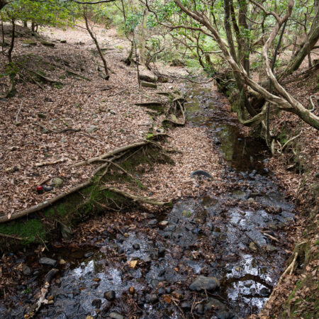 4/11(土)地理学者と読み解く率川(いさがわ) ― 街に刻まれた聖なる水脈